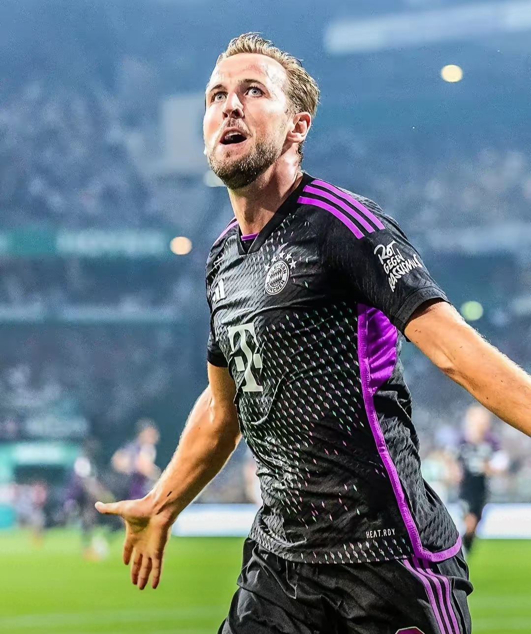 华体会新闻-凯恩成英超第一射手，热刺崛起希望重现