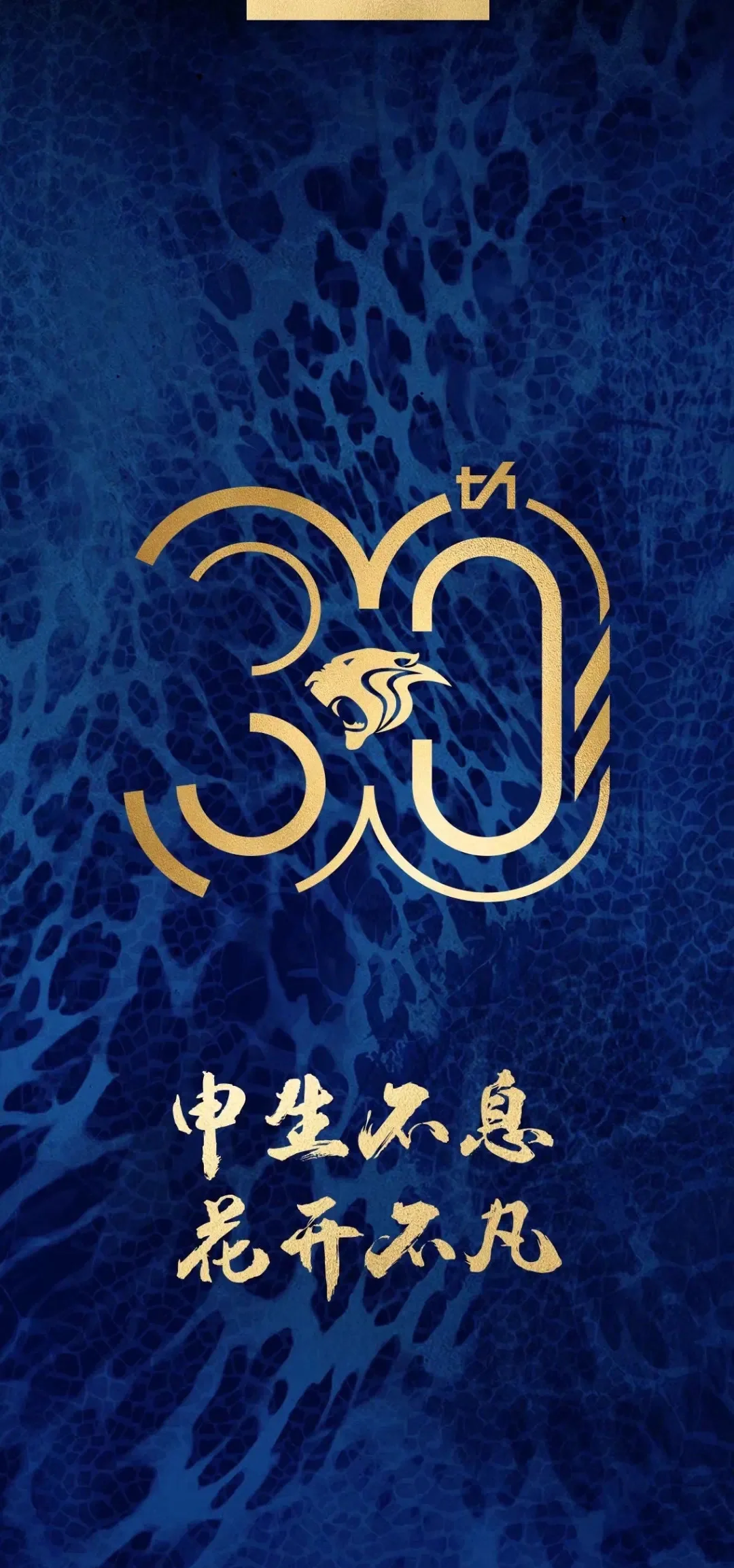 华体会网页版入口-申花冲顶燃不尽，亚冠资格悬念重重的简单介绍